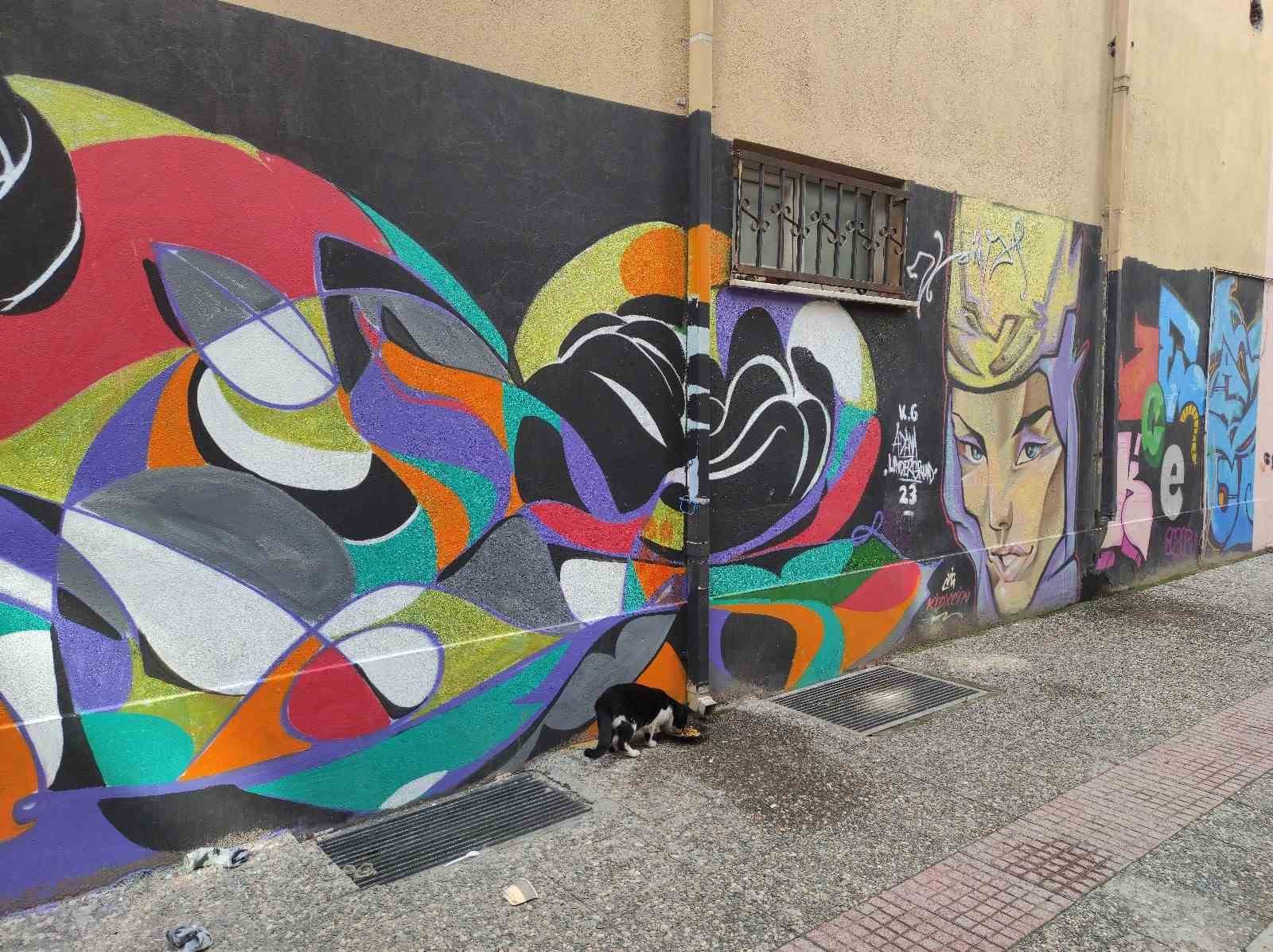 Ara sokaktaki grafiti vatandaşların beğenisini topluyor