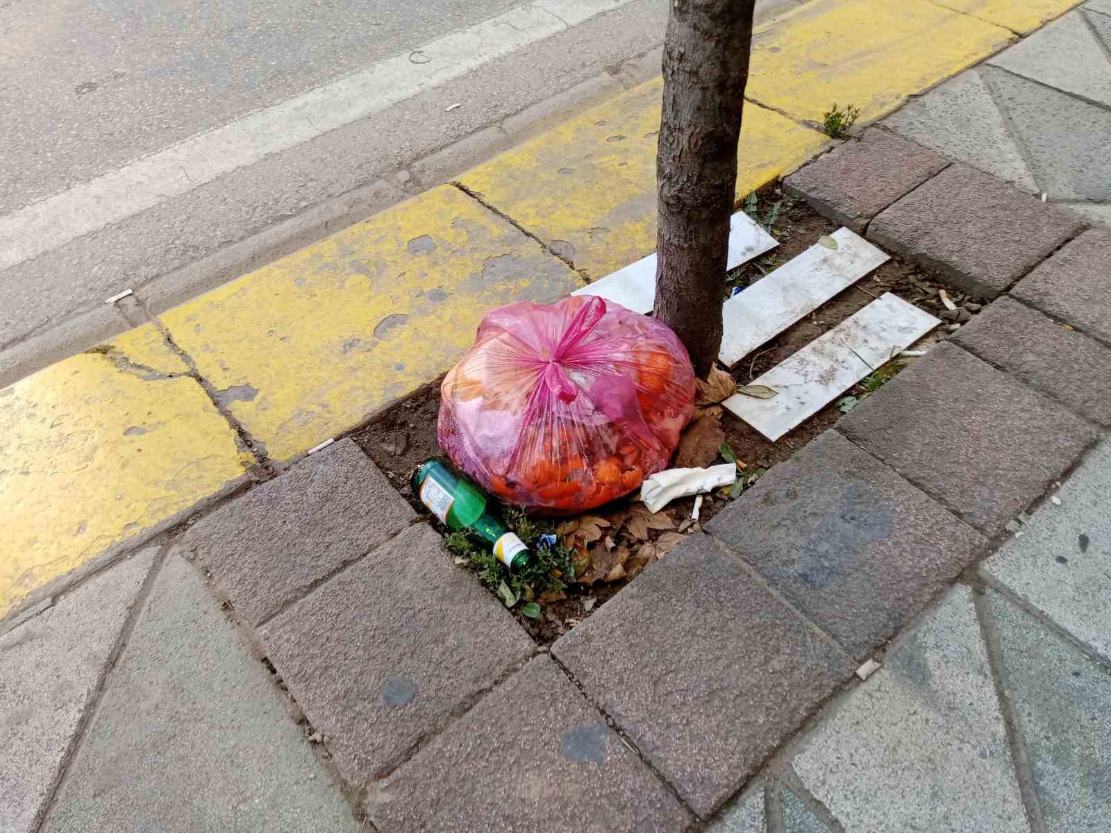 Ağaç dipleri çöplük oldu