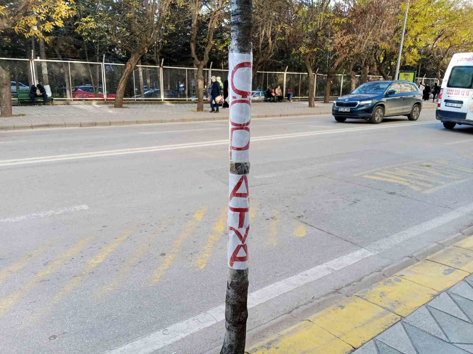 Ağaç dipleri çöplük oldu