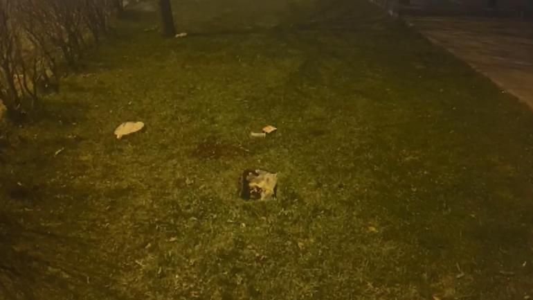 Esenyurt'ta parktaki kadın cinayeti: Sanığın müebbet hapsi istendi
