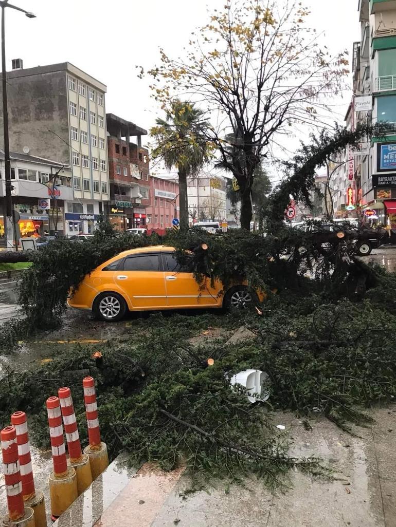 Rize'de fırtına; sac uçtu, ağaç taksinin üzerine devrildi