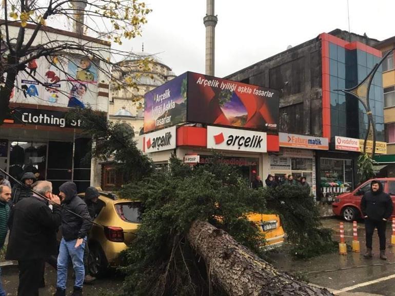 Rize'de fırtına; sac uçtu, ağaç taksinin üzerine devrildi