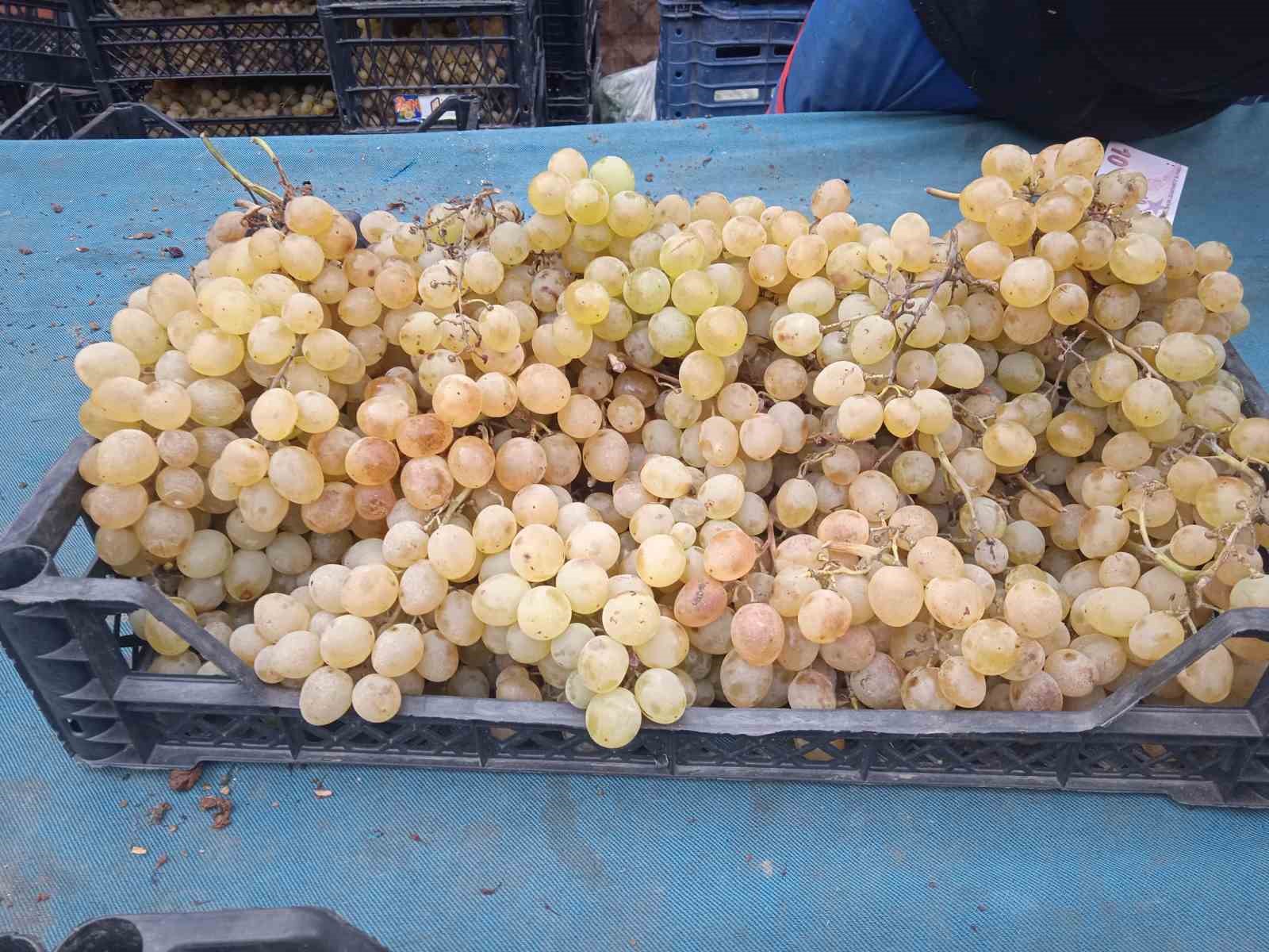Eskişehir’de üzüm pazar tezgâhlarına veda ediyor