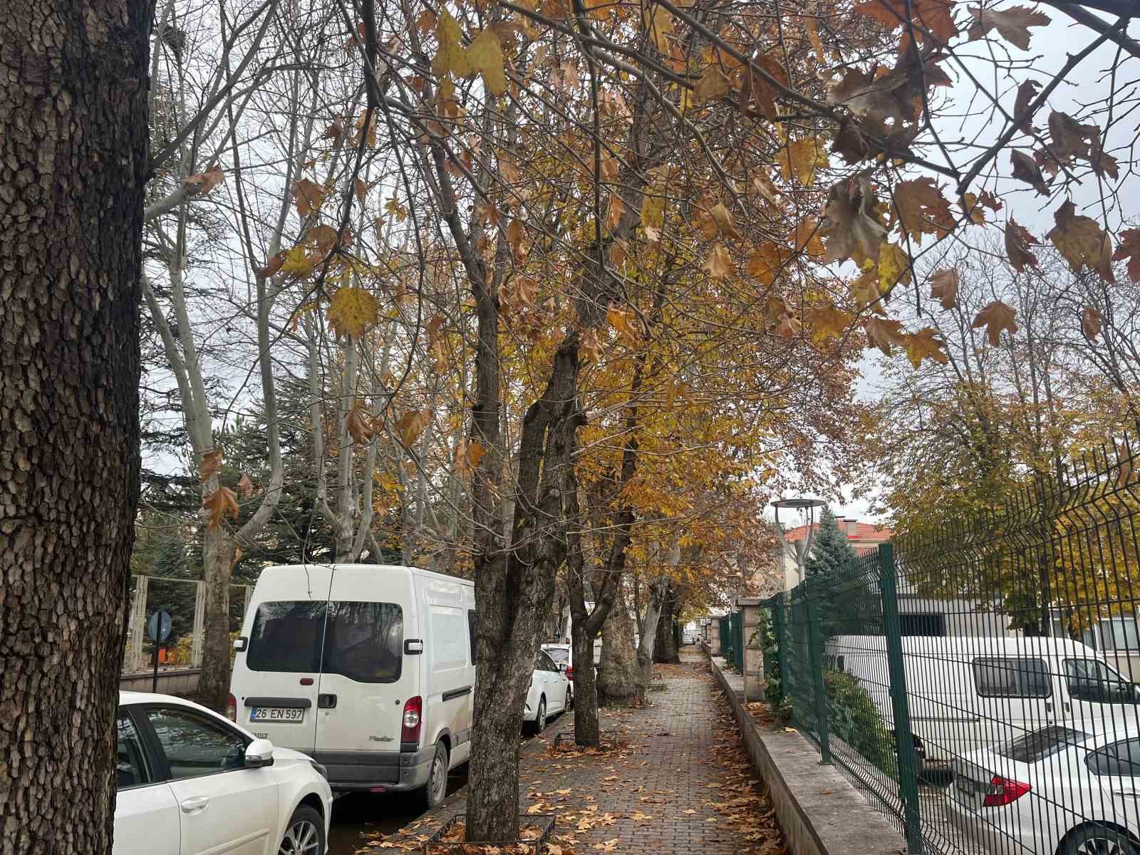 Sokaktaki sonbahar manzarası mest etti