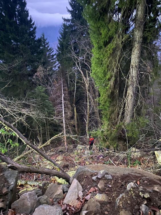 Ağaç keserken düşen kaya çarptı, uçuruma yuvarlanıp öldü