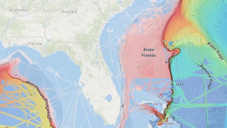 Dünyanın en geniş derin deniz mercan resifinin haritası çıkarıldı