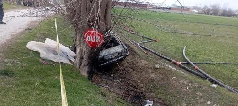 Denizli'de ağaca çarpan otomobil alev aldı; dede ile torunu öldü, 2 yaralı