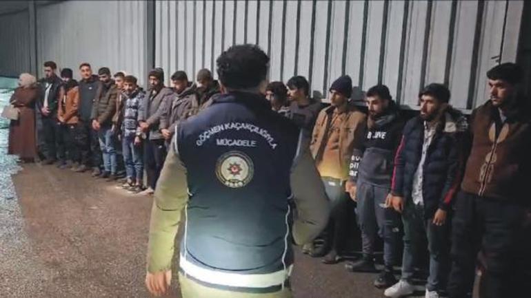 Osmaniye'de minibüsten 14 kaçak göçmen çıktı; sürücü ve 2 kişi tutuklandı