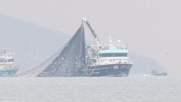 İstanbul Boğazı'nda tekneler kıyıya yaklaştı,  24 metre tartışması çıktı