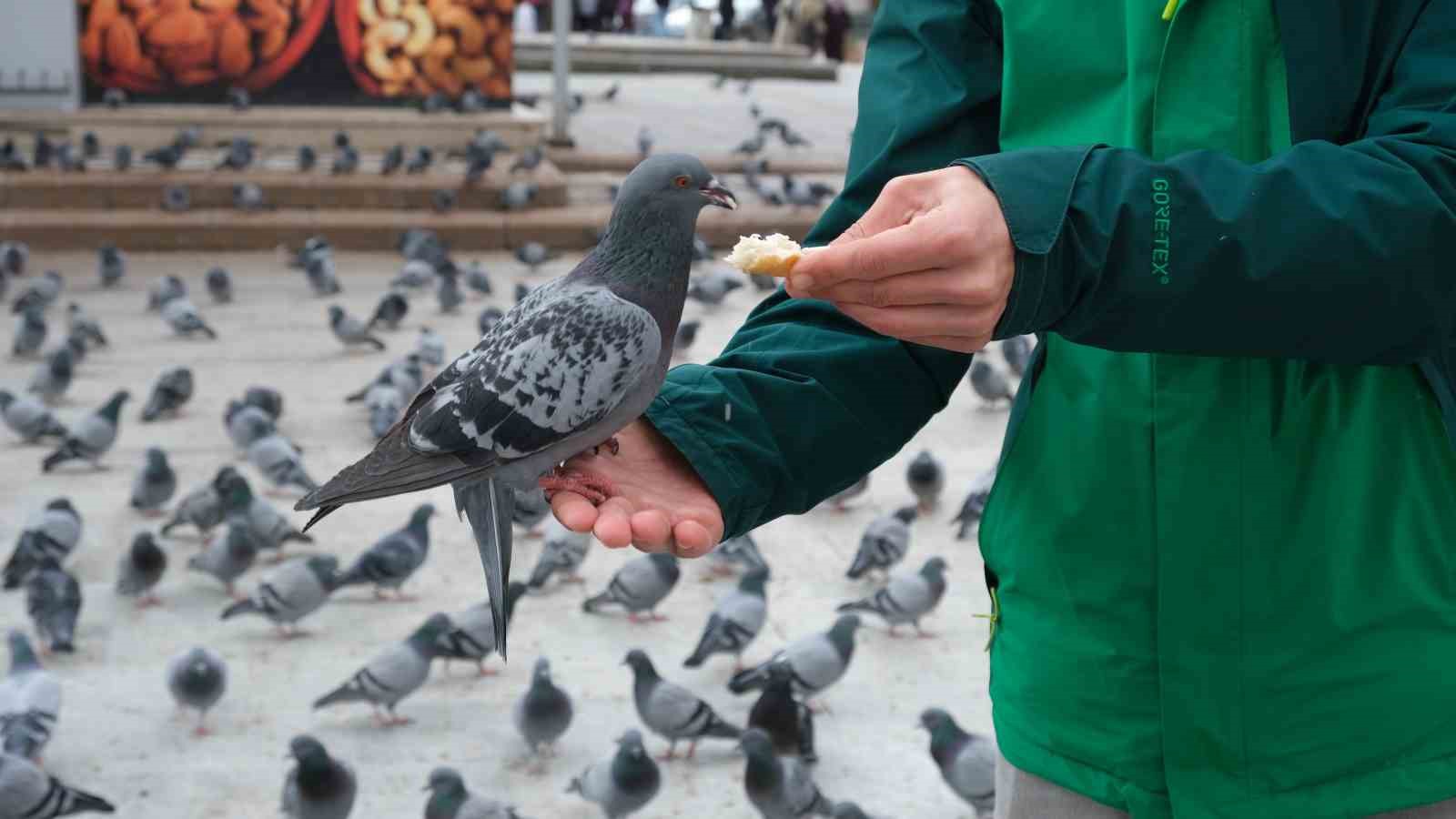 Kızıyla birlikte Bodrum’dan gelen turist güvercinleri elleriyle besledi