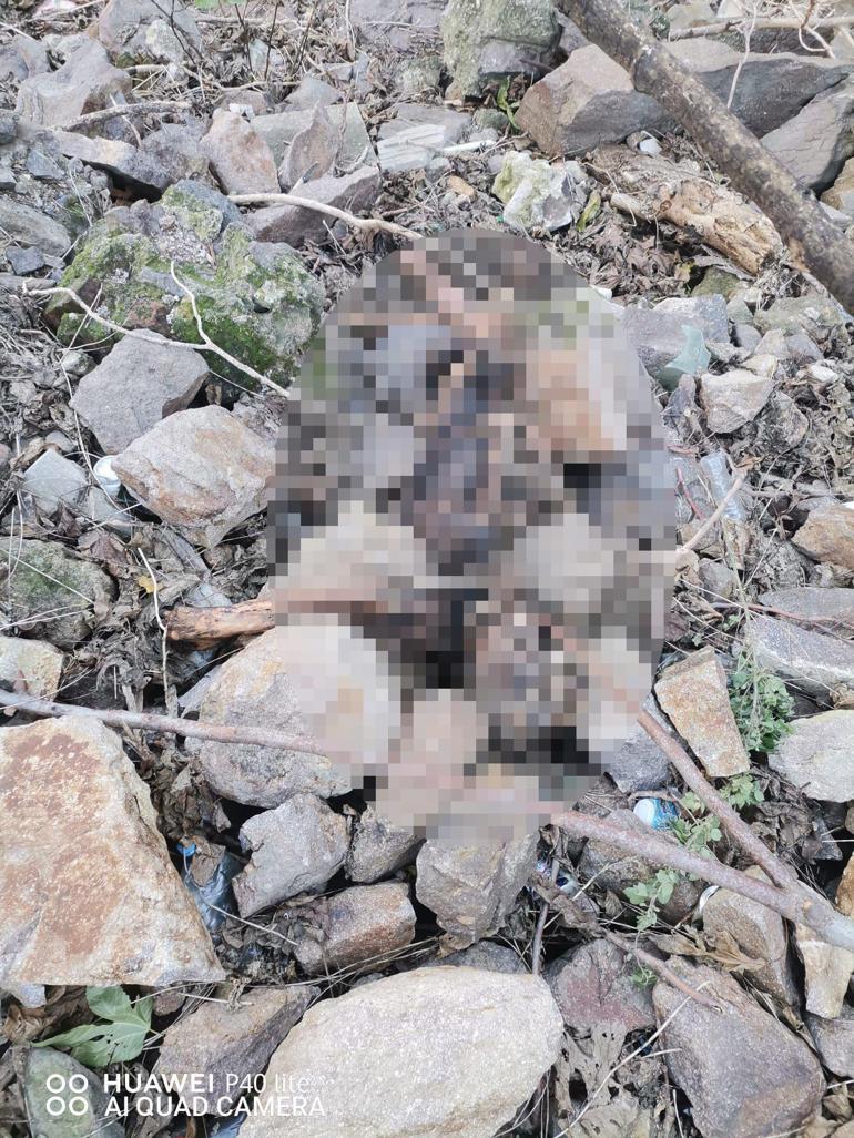 İzmir'de Tarihi Asansör yakınında insan iskeleti bulundu