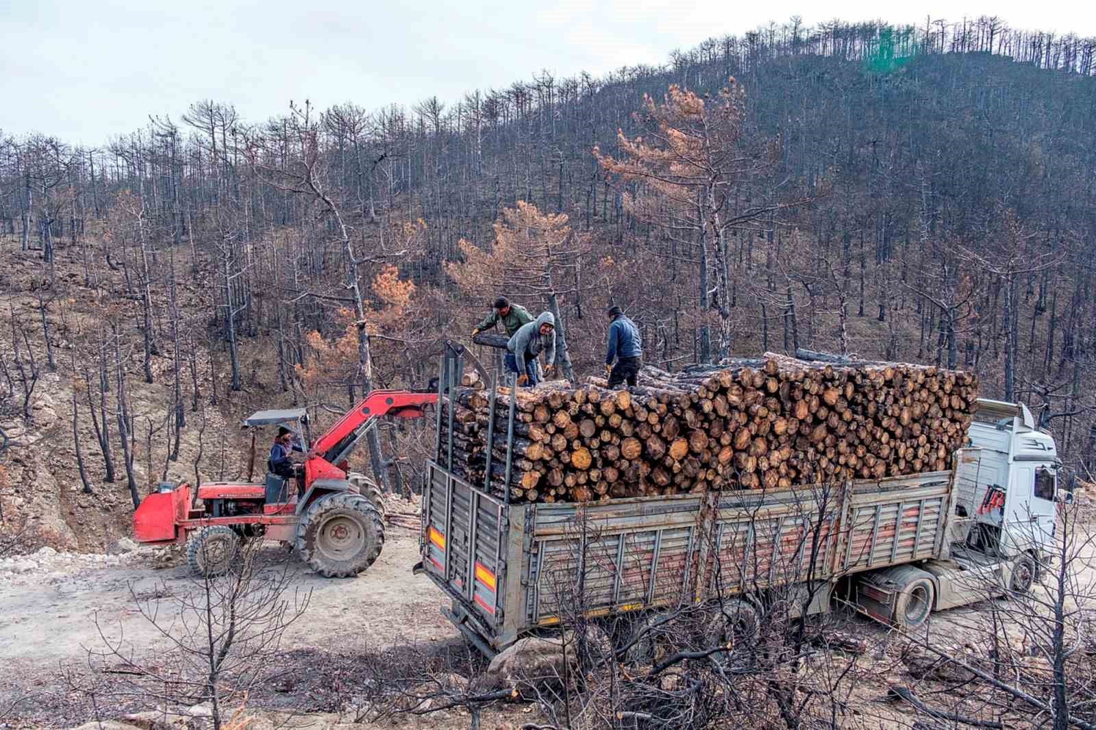 Büyük yangının yaraları sarılıyor