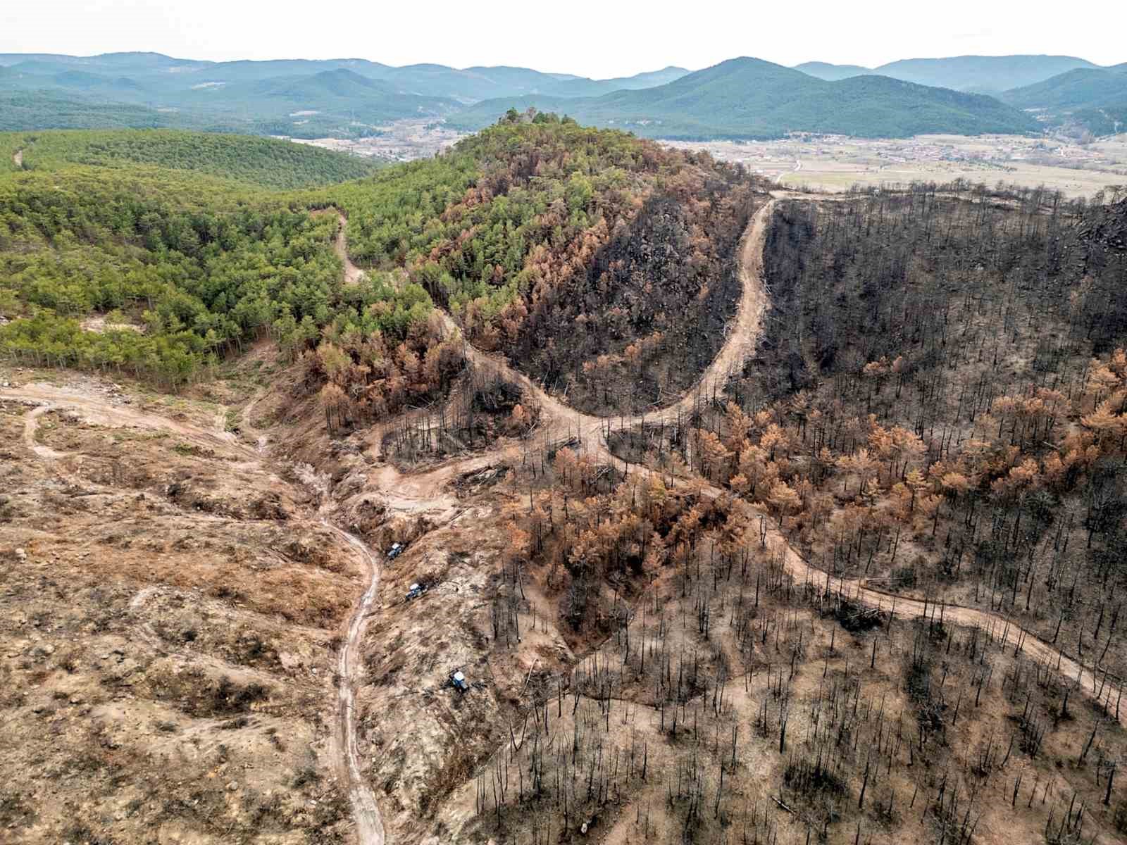 Büyük yangının yaraları sarılıyor