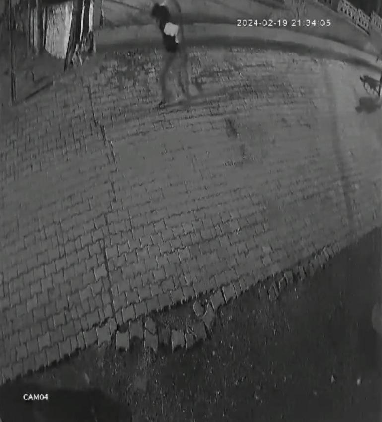 Mezarlığın metal kapılarını çalma girişimi kamerada