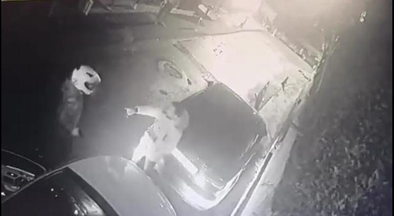 Kadıköy’de otomobili çalmaya çalışan şüpheli, kendisini fark eden valeye silah çekti