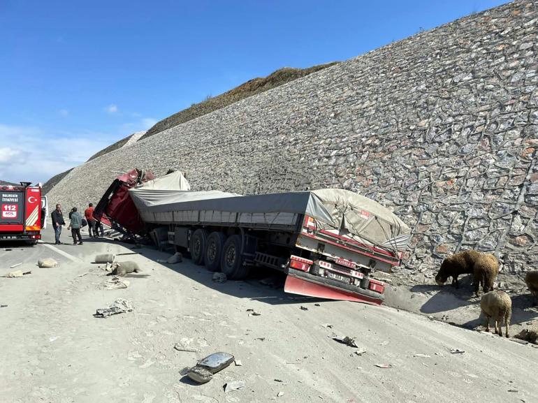 Balıkesir'de TIR, kamyona arkadan çarptı; 1 kişi hayatını kaybetti, 2 kişi yaralandı, 52 koyun öldü