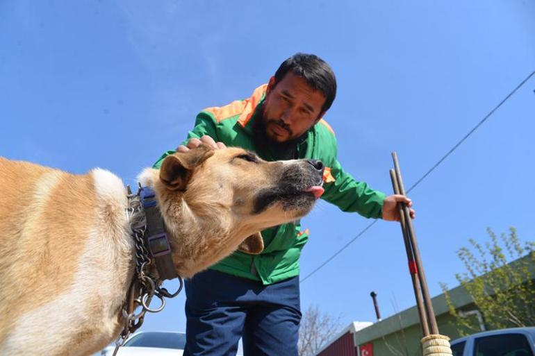 Sokak köpeğini süpürgesi ile kaşıyıp sevdi; temizlik personelinin o anları kamerada