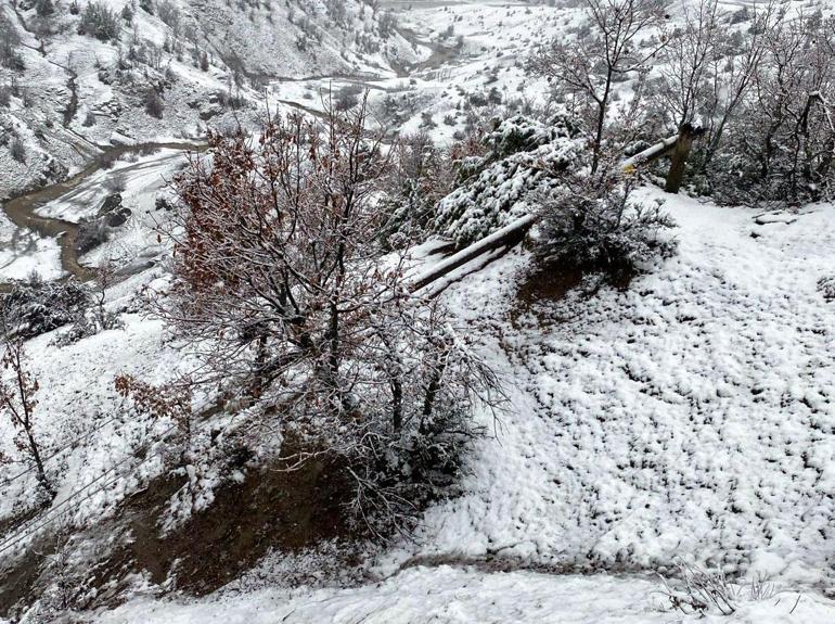 Köye düşen çığ, 2 günde temizlendi