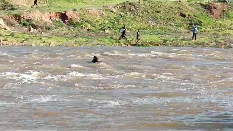 Şanlıurfa'da sel sularına kapılan 3 kadın kurtarıldı, 1 çocuk kayıp