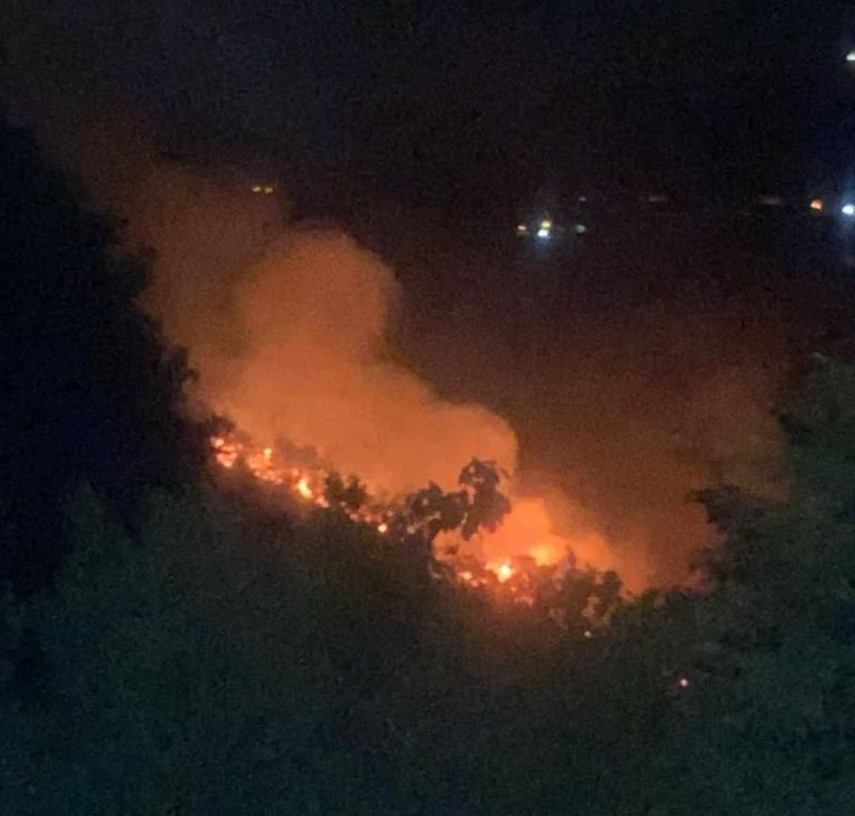 Yalova'da çıkan orman yangını 3 saatte söndüldü: 2 gözaltı