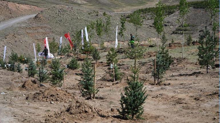 Bakan Özhaseki: Ağaçlarımızı yok ettik, ormanlarımızı kel hale getirdik; şimdi yeniden seferberlik başlatıyoruz