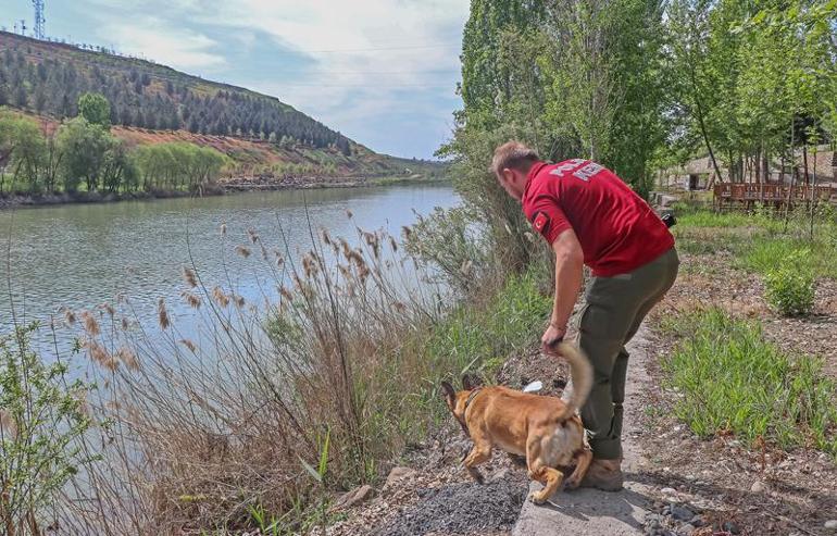 'Hareketsiz erkek görüldü’ ihbarının yapıldığı Dicle Nehri'ndeki aramalara kadavra köpeği Boyka da katıldı