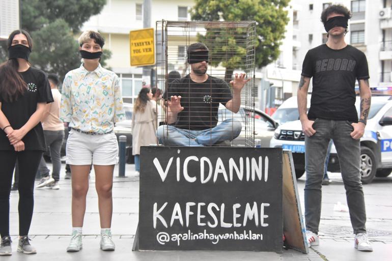 İzmir'de hayvanseverlerden 'kafes' eylemi