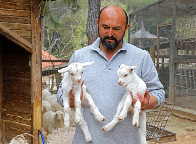 Hayvanat bahçesinde yeni yavru sevinci