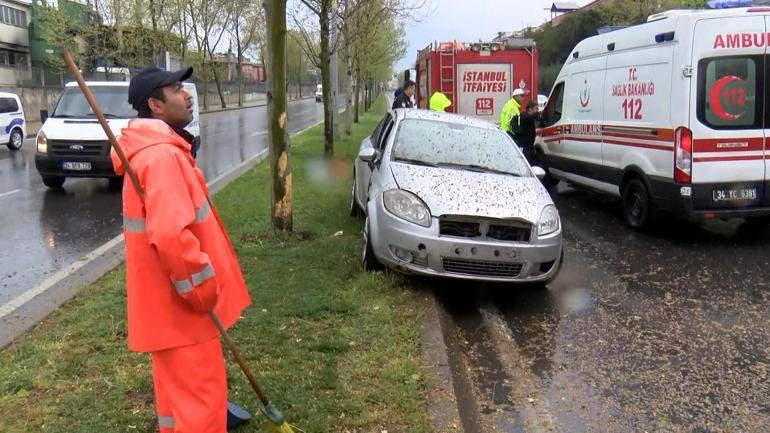 Başakşehir'de kaza sonrası ağaçtan düşen yavru kargalara itfaiyeden yardım eli