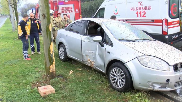 Başakşehir'de kaza sonrası ağaçtan düşen yavru kargalara itfaiyeden yardım eli