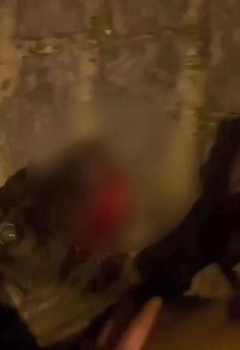 Fatih'te bekçilerle şüpheliler arasında arbede; Bekçilerin ateş ettiği köpek yaralandı