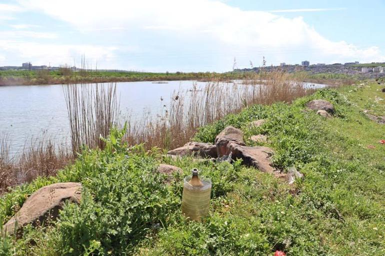 Piknikçi atıkları Dicle Nehri çevresini çöplüğe çevirdi; su kuşları kirlilikten çok etkileniyor