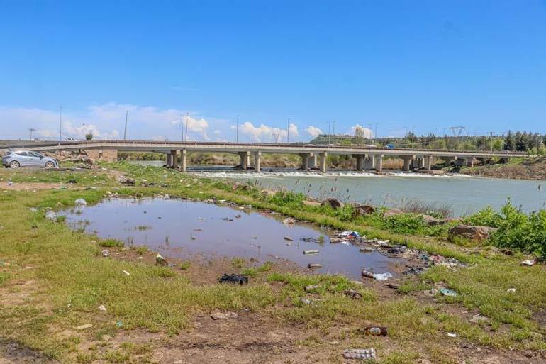 Piknikçi atıkları Dicle Nehri çevresini çöplüğe çevirdi; su kuşları kirlilikten çok etkileniyor