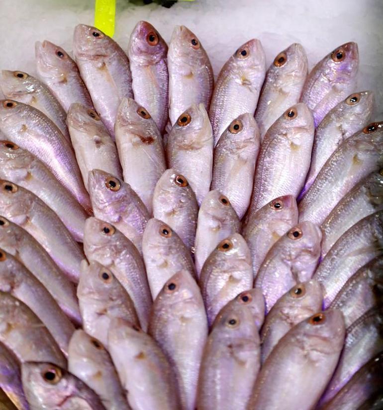 'İstilacı balıklar, Akdeniz'in yerli türü haline geldi'