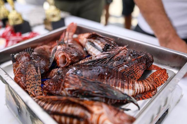 'İstilacı balıklar, Akdeniz'in yerli türü haline geldi'