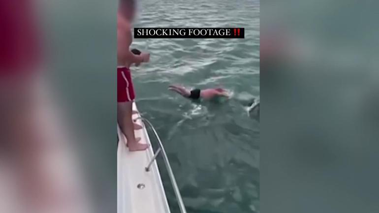 Yeni Zelanda’da katil balinanın üzerine atlayan adama para cezası