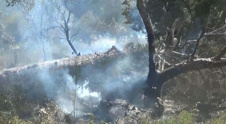 Çanakkale'de tarım arazisinde yangın