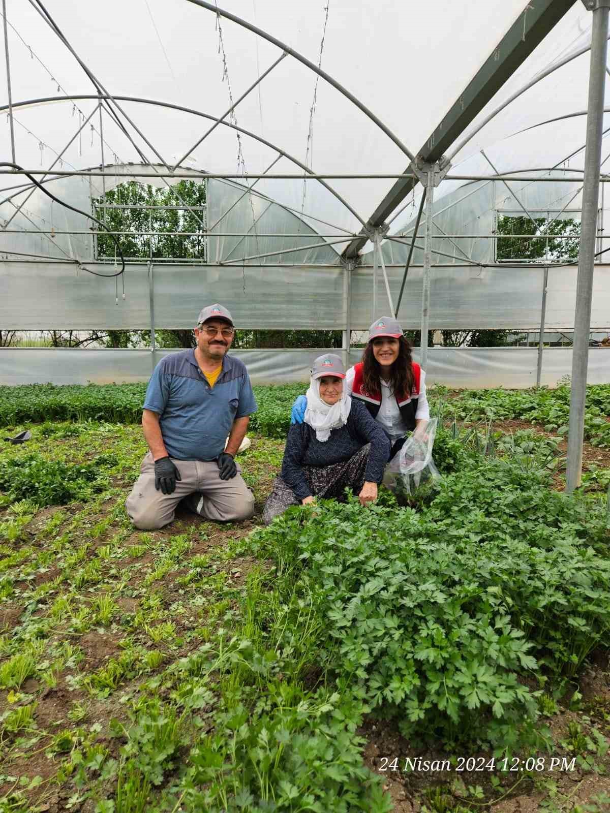 Eskişehir’de sağlıklı tarımsal üretim çalışmaları devam ediyor