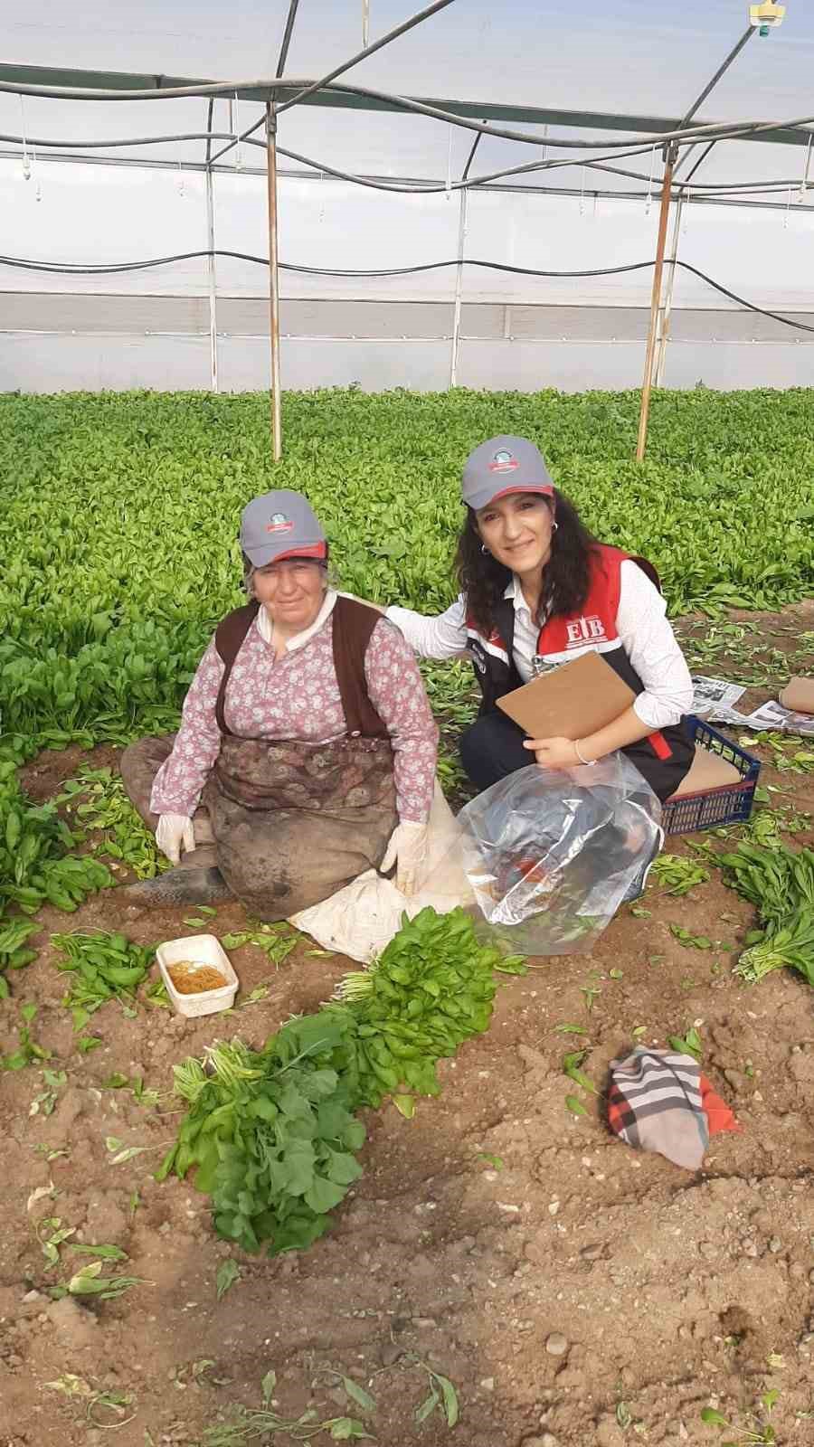 Eskişehir’de sağlıklı tarımsal üretim çalışmaları devam ediyor