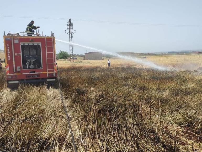 Hatay'da iki ayrı yangında 77 dönüm ekili buğday tarlası zarar gördü