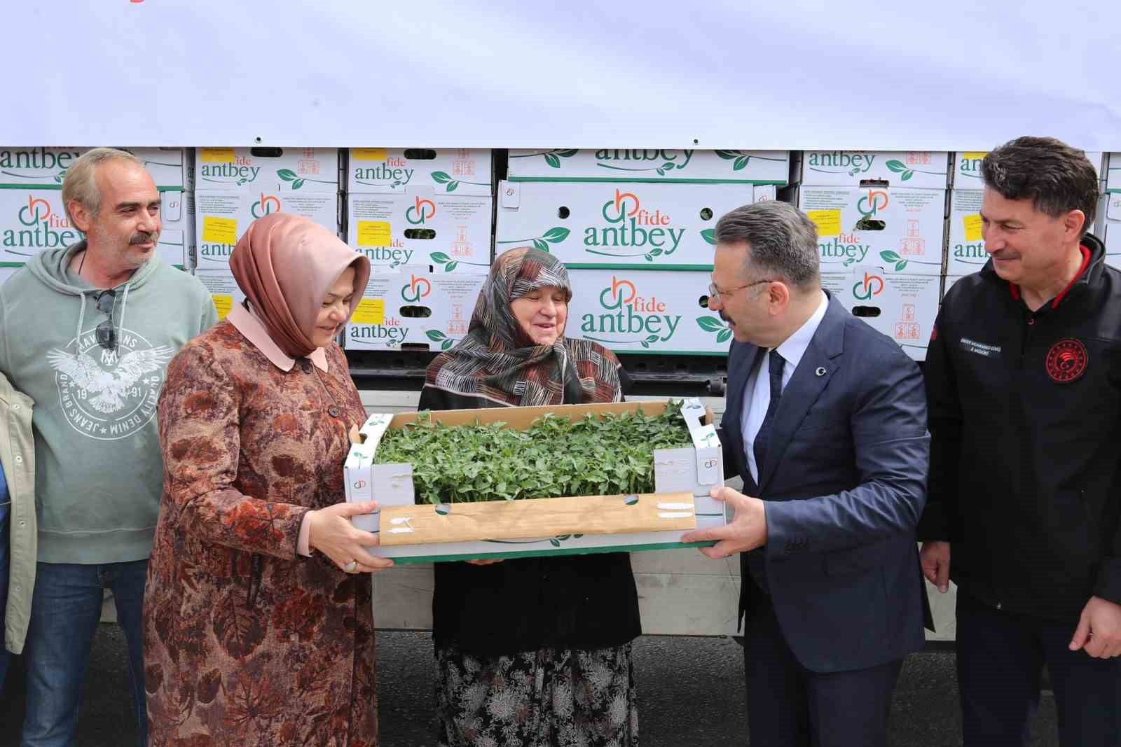 Vali Hüseyin Aksoy çiftçilere domates fidesi dağıttı