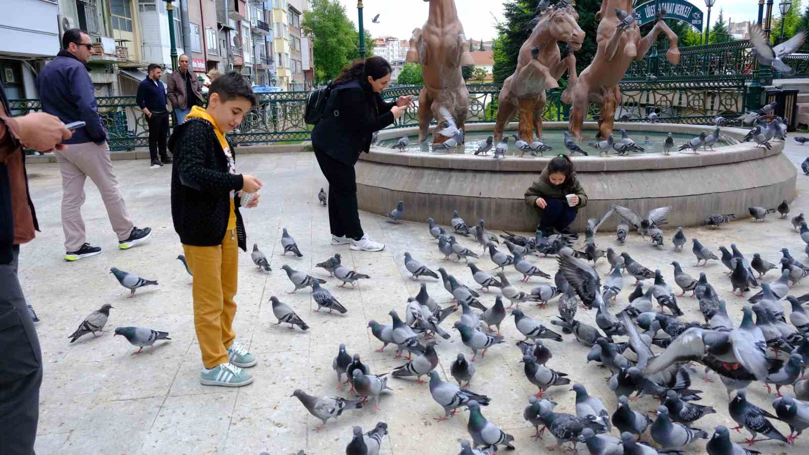 Nazilli’den gelen turistler Eskişehir’deki kuşları elleriyle besledi
