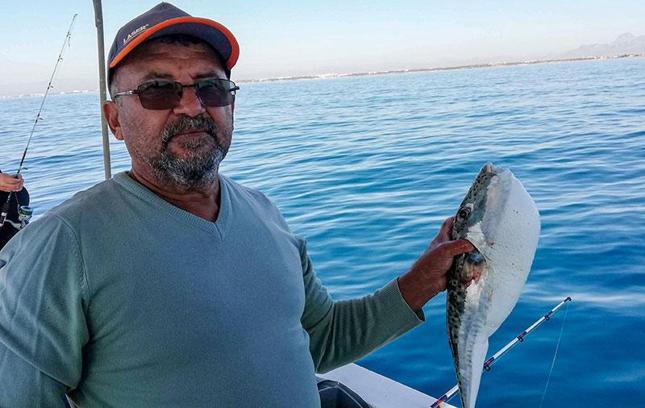 Balon balığı istilasına 'avcılık' tedbiri