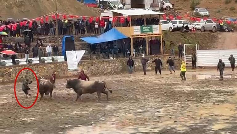 Arenada rakibinden kaçan boğa hakeme çarpıp, üzerinden geçti; o anlar kamerada