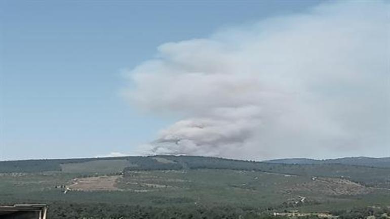 Bursa'da orman yangınına savcılık soruşturması