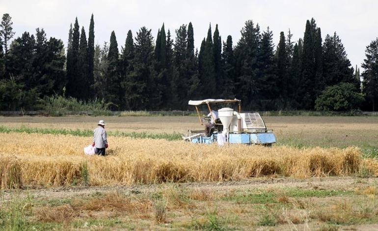 Antalya'dan Orta Doğu pazarına tescilli buğday ihracatı