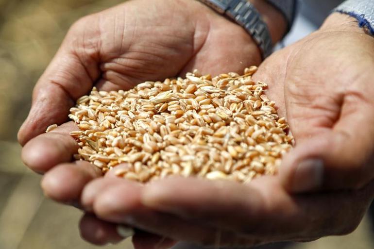 Antalya'dan Orta Doğu pazarına tescilli buğday ihracatı