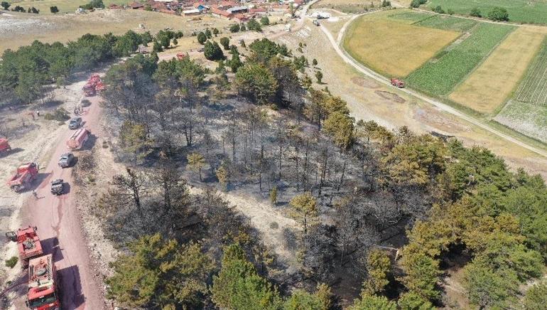 Kütahya'daki orman yangını, erken müdahaleyle büyümeden kontrol altına alındı