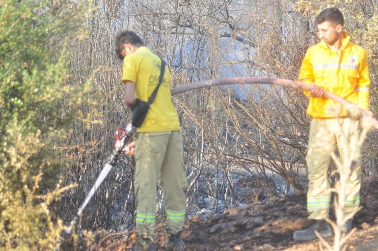 Manisa’da orman yangınında 3 hektar alan tahrip oldu