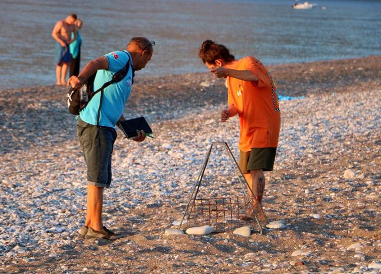 Çıralı'da deniz kaplumbağası yuva sayısı geçen yılı aştı; 30 yılın rekoru bekleniyor